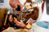 TU Guitars, D'Amicis fotografo
