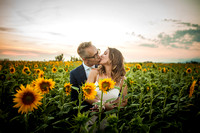 Kisses and sunflowers