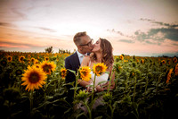 Love and sunflowers